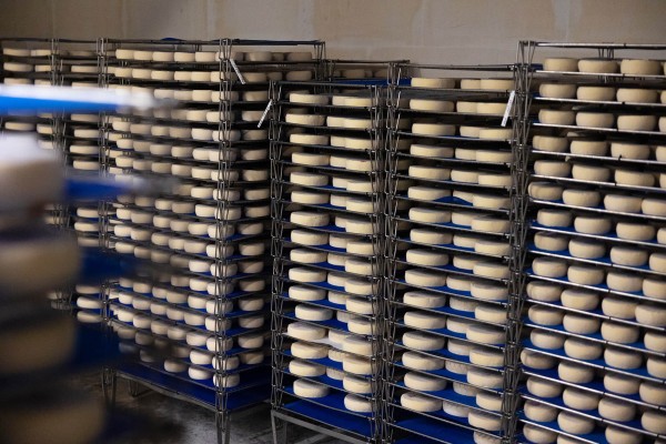 Fromagerie de Brenthonne (74890)