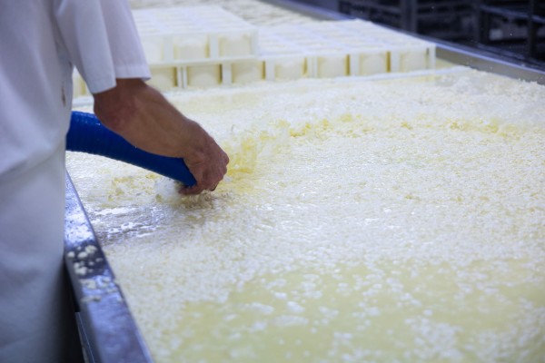 Fromagerie de Brenthonne (74890)