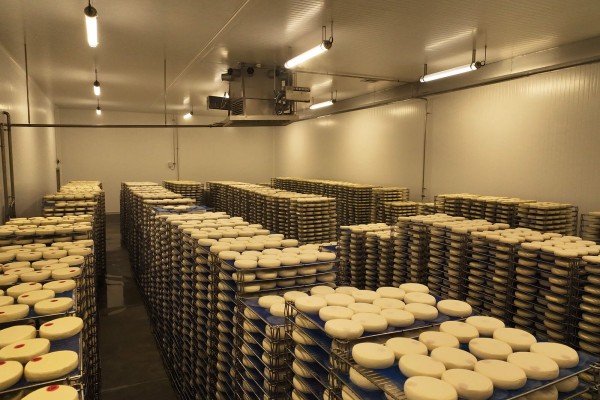 Fromagerie de Juvigny (74100)